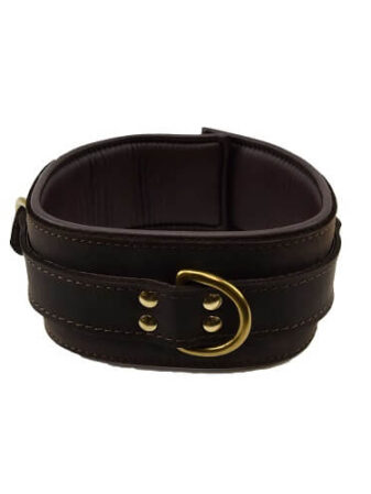 n10096 bound collar 1_1