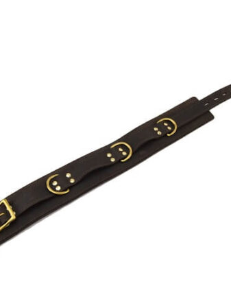 n10096 bound collar 3
