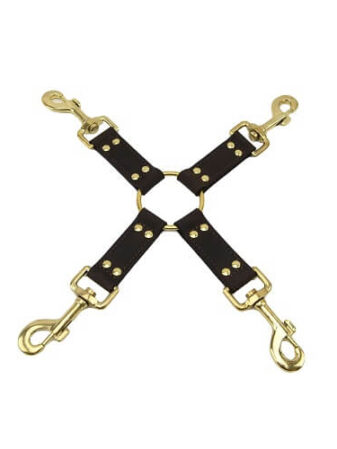 n10100 bound 4 way hog tie 1_3