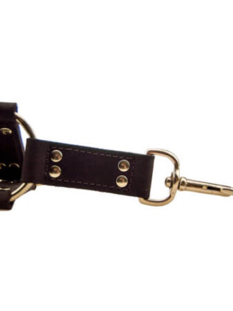 n10100 bound 4 way hog tie 2_2