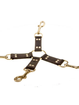 n10100 bound 4 way hog tie 3_1
