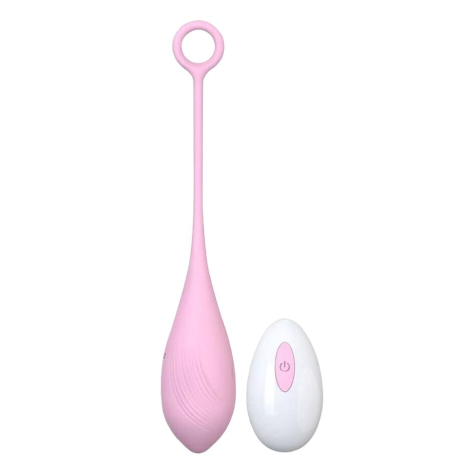 n12024 loving joy remote controlled vibrating egg 1