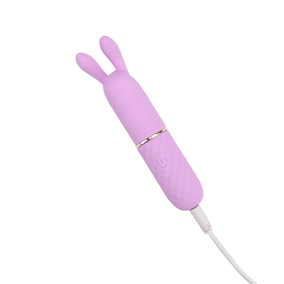 n12252 nauti petites 10 speed rabbit ears bullet vibrator charge cable