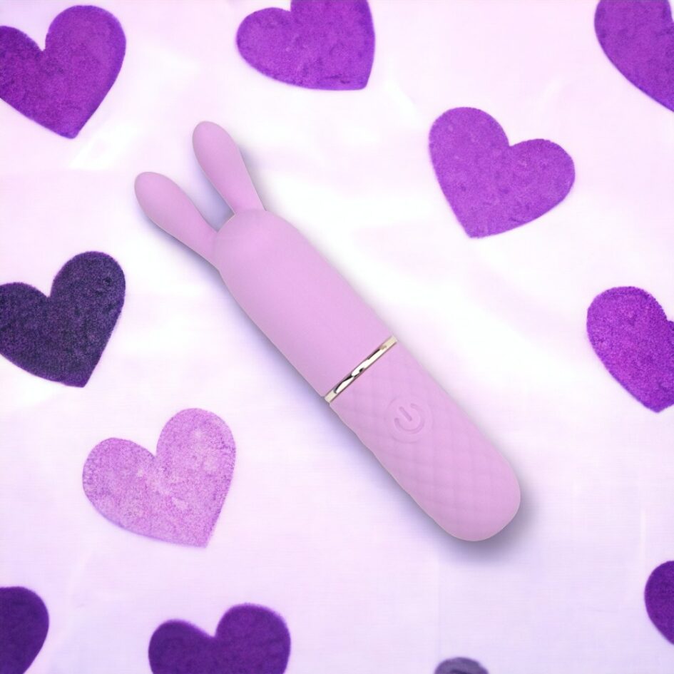 n12252 nauti petites 10 speed rabbit ears bullet vibrator heart